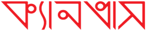 Canvas logo