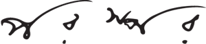 Porospor logo